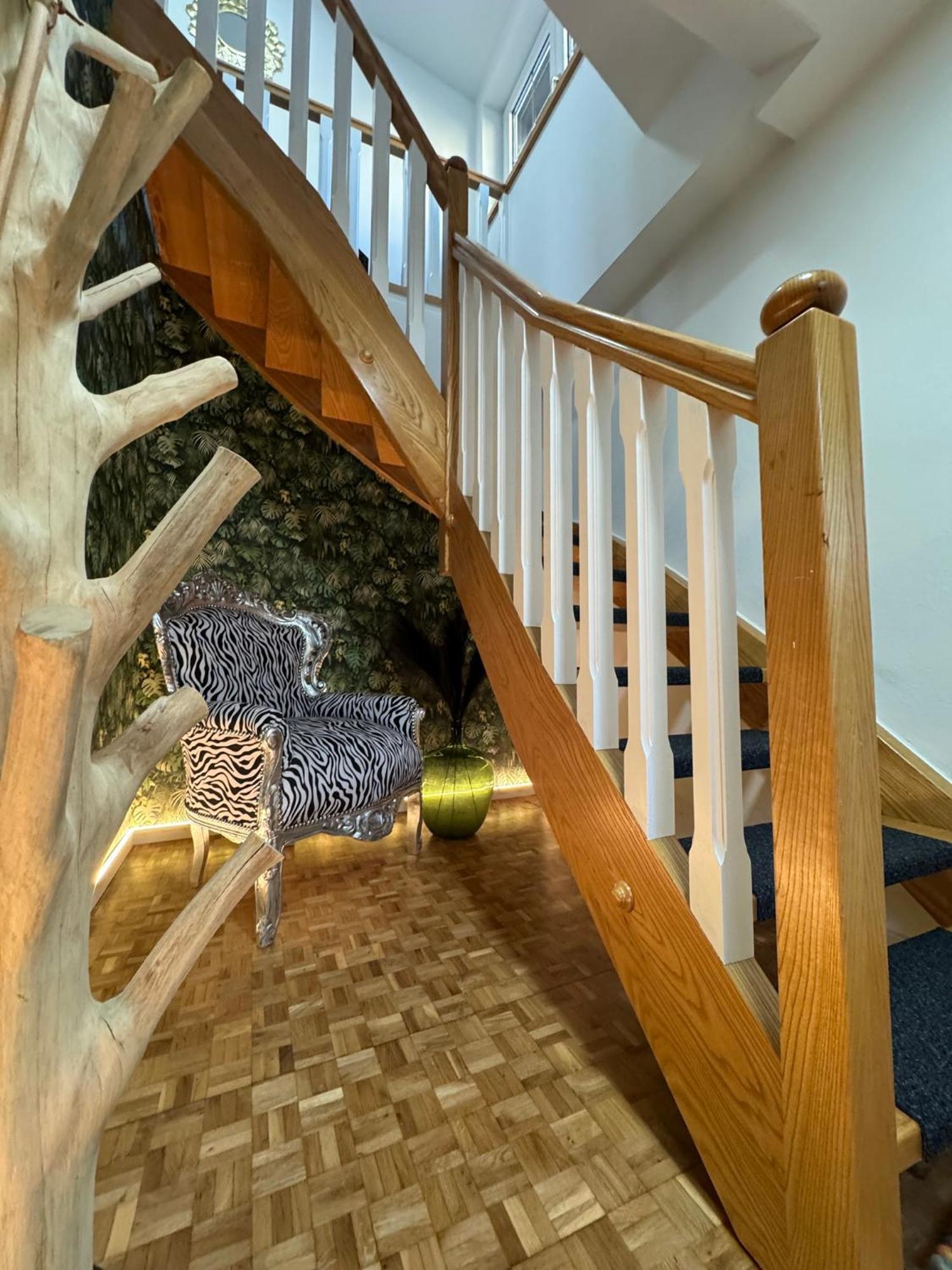 Vogelnest Apartment Пасау Екстериор снимка